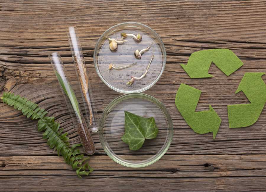 Biodegradable surfactants