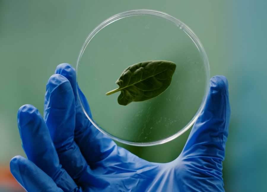 Green-certified chemicals